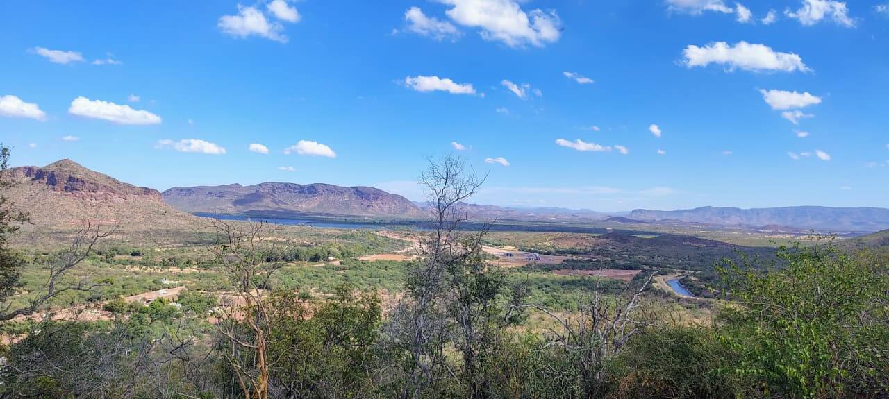 Galería Batwe Ania 3